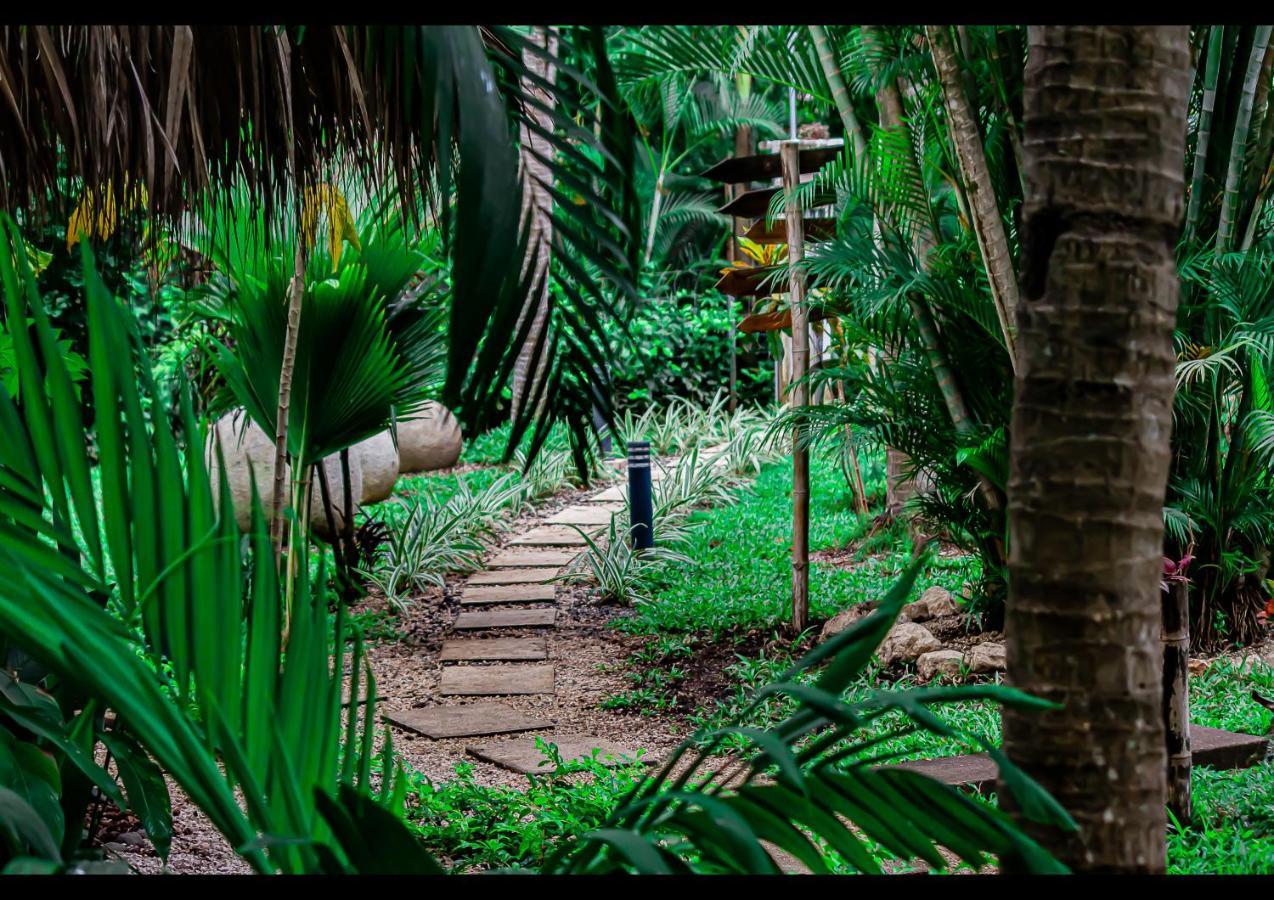 Pura Vibra * Potrero (Guanacaste)