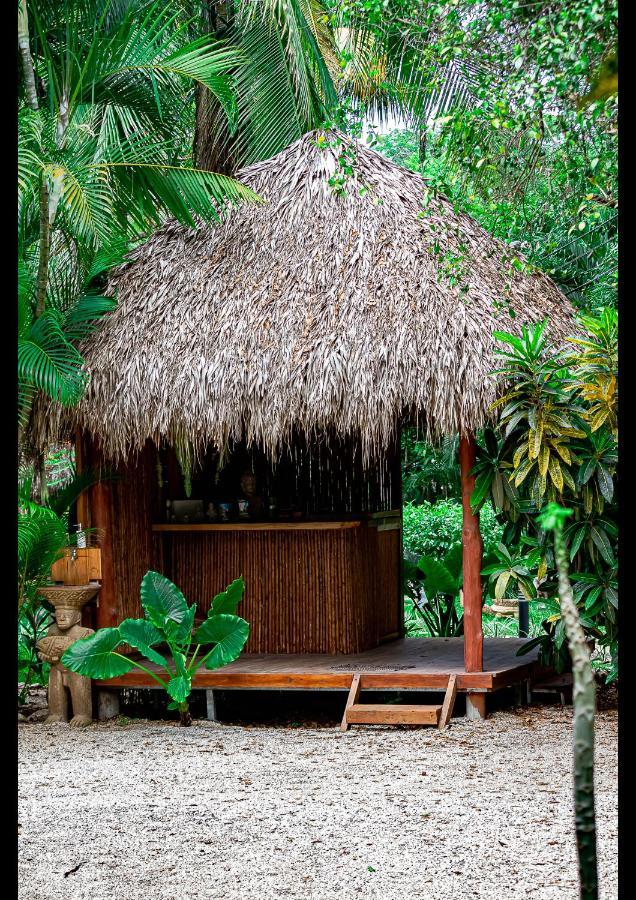 Pura Vibra Aparthotel *