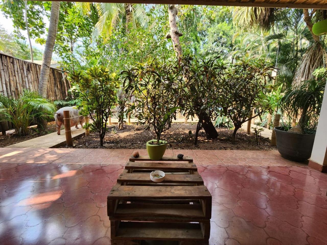 Pura Vibra Aparthotel Potrero (Guanacaste)